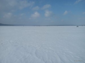 P70219-133506.jpg