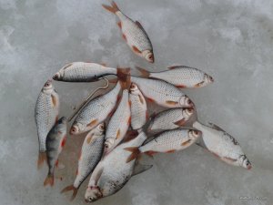 20170223_165631.jpg