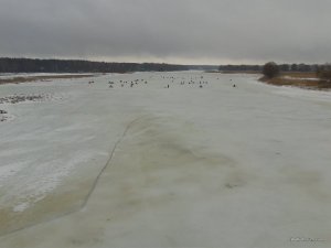 20170223_095230.jpg