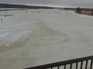 20170223_095238.jpg