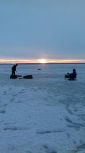 20170224_063746.jpg