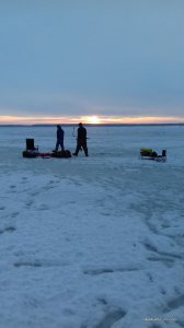 20170224_063848.jpg