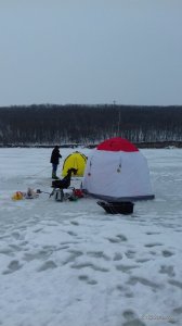 20170224_073624.jpg