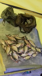 20170224_163238.jpg