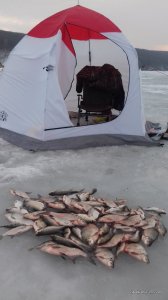 20170224_164305.jpg