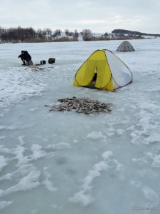 20170222_153152.jpg