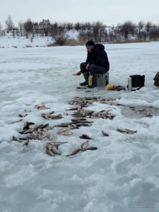 20170222_153117.jpg