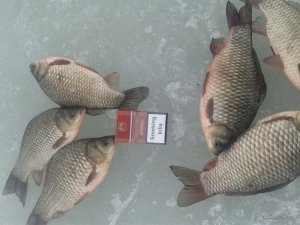 20170225_152755.jpg