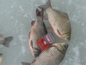 20170225_152808.jpg