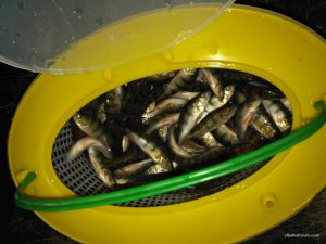 IMG_20170225_194804.jpg