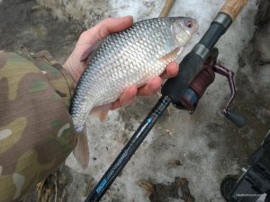 WP_20170225_10_48_08_Pro.jpg
