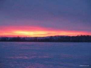 IMG_1469.JPG