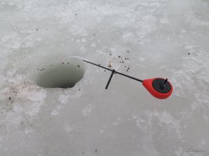 IMG_1472.JPG