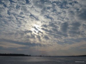 IMG_1477.JPG