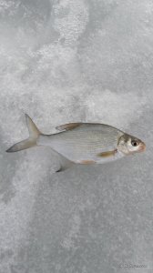 20170224_101726.jpg