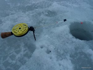IMG_20170225_133306.jpg