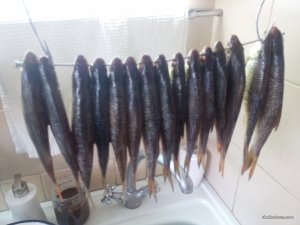 IMG_20170219_123624.jpg