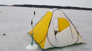 20170225_065249.jpg