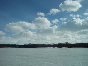 100_6303.JPG