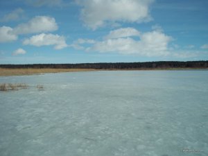 100_6302.JPG
