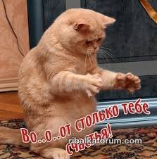 Без названия (5).jpg