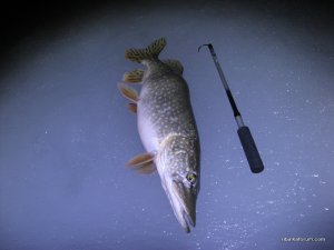 IMG_1888.JPG