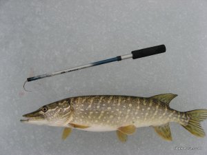 IMG_1897.JPG