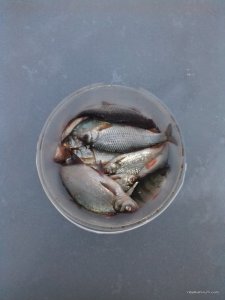 20170226_164116.jpg