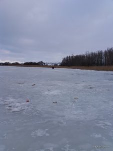 20170226_070955.jpg