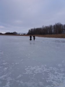20170226_071035.jpg