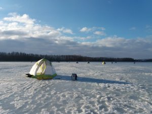 20170226_074223.jpg