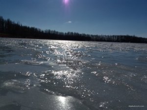 20170226_095455.jpg
