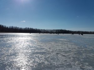 20170226_095511.jpg