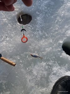 20170226_075414.jpg
