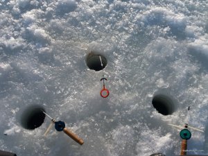 20170226_074233.jpg