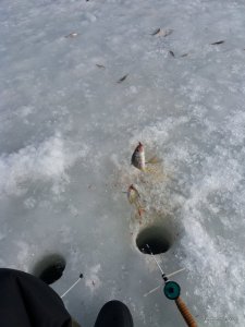 20170226_132054.jpg