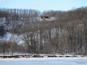 IMG_1494.JPG