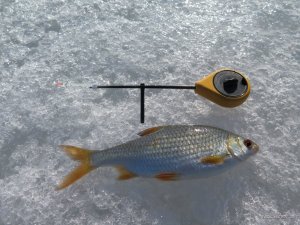 IMG_1504.JPG