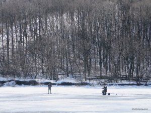 IMG_1513.JPG