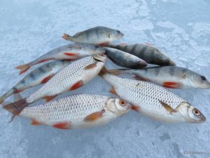 IMG_1534.JPG