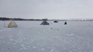 20170227_073252.jpg