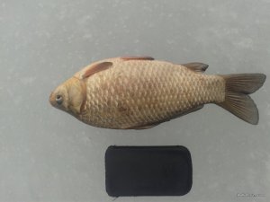 20170228_130356.jpg