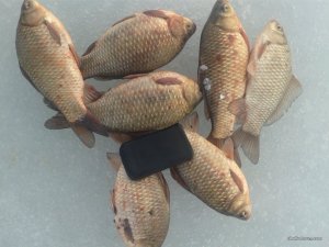 20170228_164816.jpg