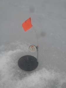 2017228070232.jpg