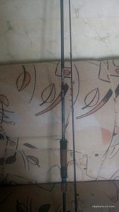 IMG_20170228_104936.jpg