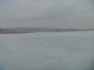 P1060355.JPG
