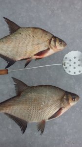 IMG_20170228_084442.jpg