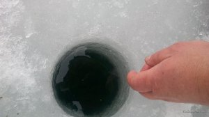 IMG_20170228_100427.jpg