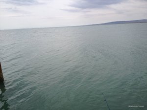 IMG_2321.JPG
