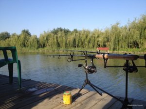 IMG_3433.JPG